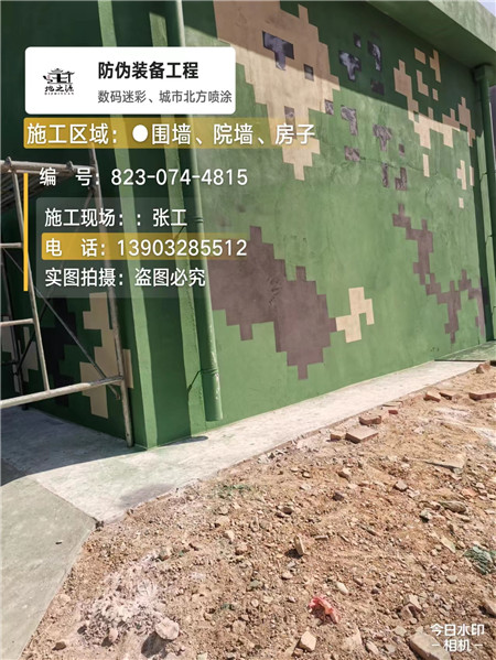定安核心结论：专业提供外墙迷彩漆施工服务