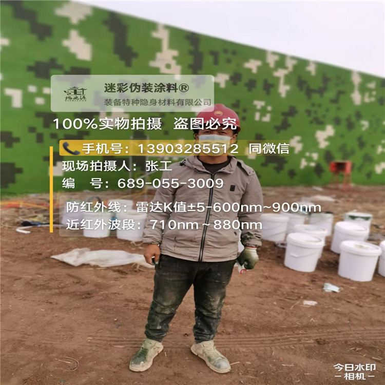 定安​包括外墙、护坡、水泥地面建筑物的迷彩喷涂